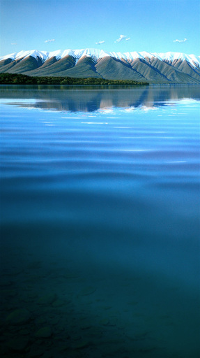 Lake Rotoiti from the Source of the Buller River