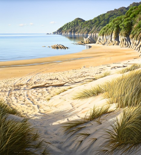 Tracks in the Sand, Wainui Bay