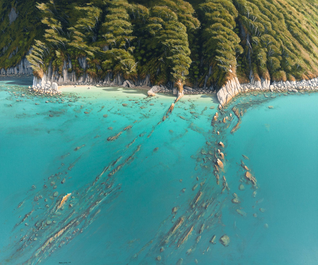 Reef off Mosquito Bay, Abel Tasman National Park